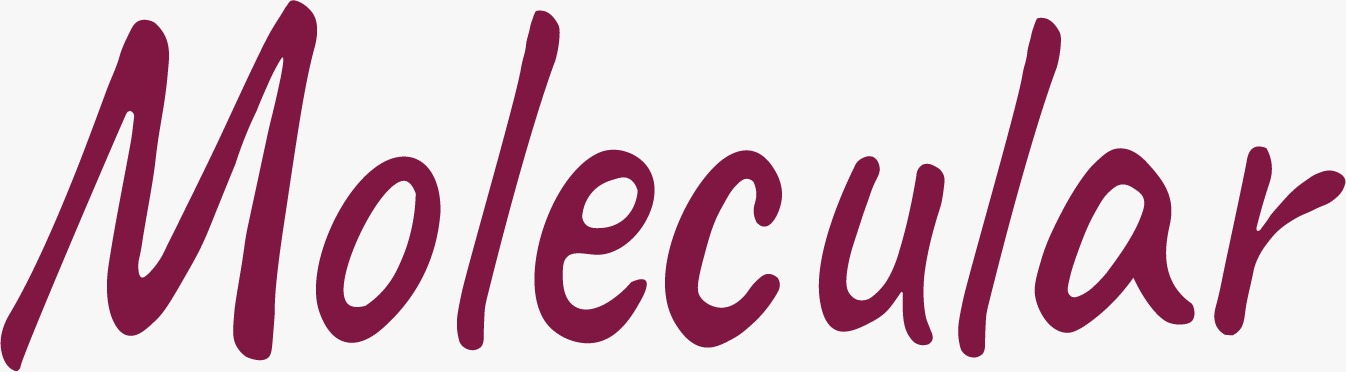 LogoWhite
